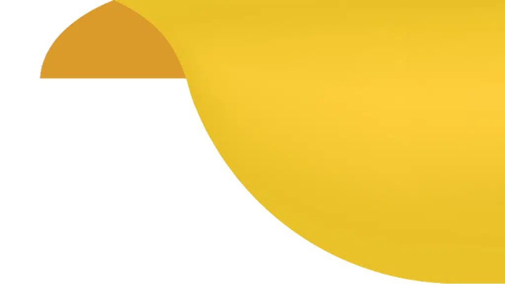 Vadodara Gas Limited