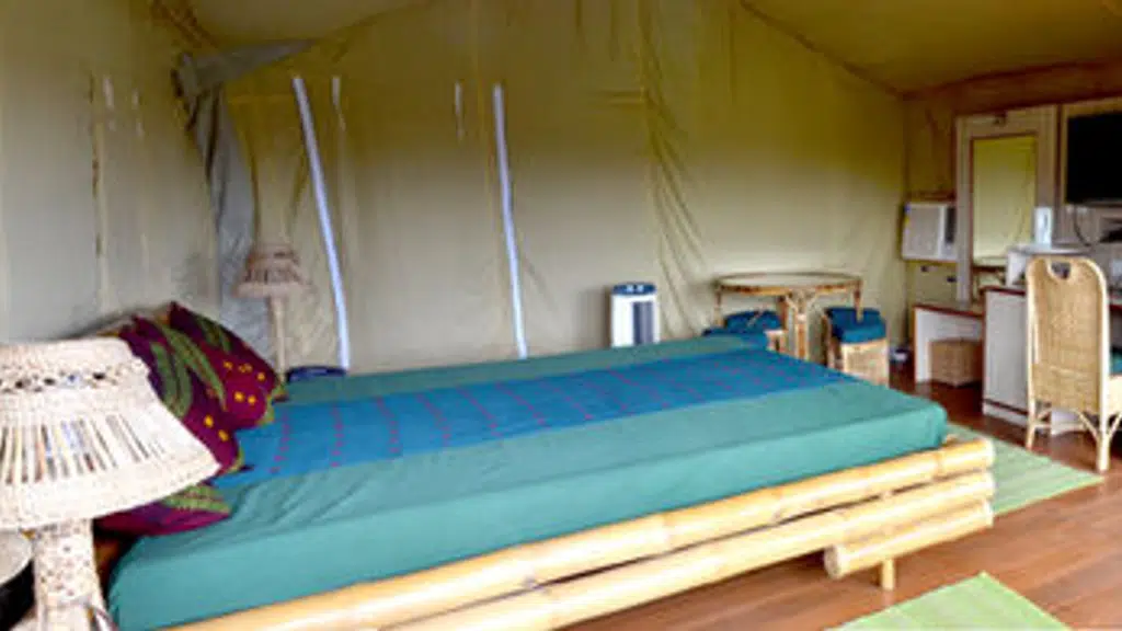 Wild View Resort - Zizina