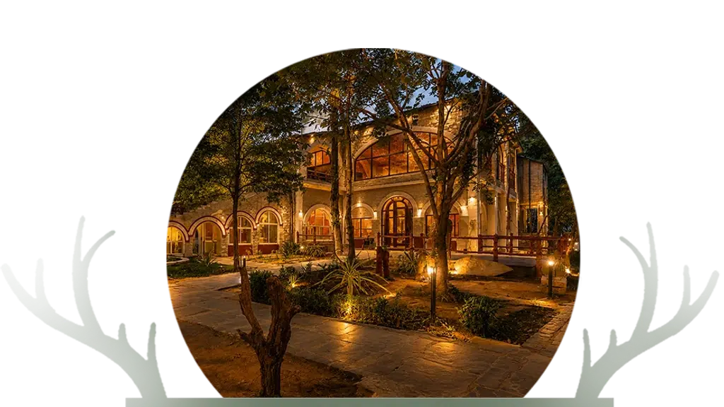 Jungle King Resort