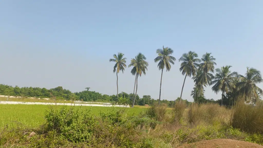 Prakruti avenues