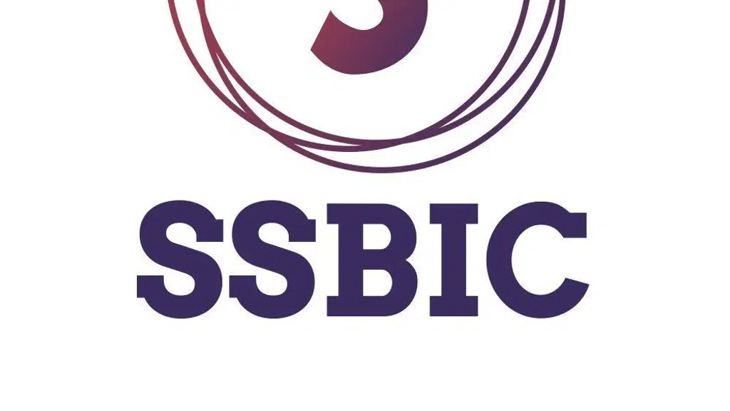 SSBIC Consultancy Services