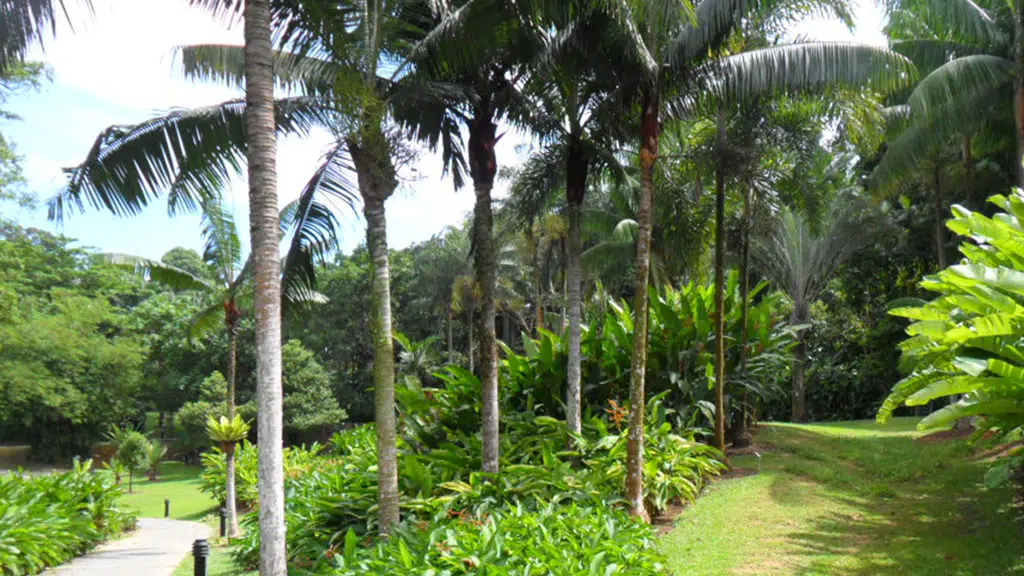 Green Care Nursery