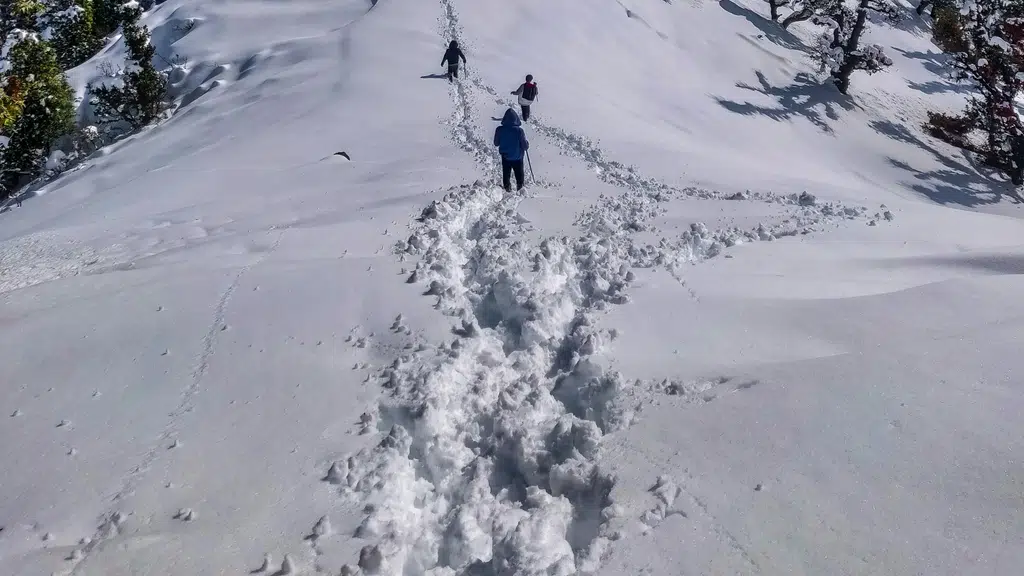 Blink A Trip