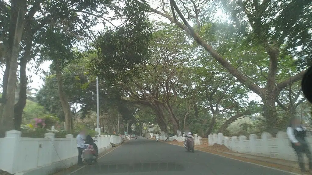 Shree Sai Sansthan Sai Mandir Nidhi