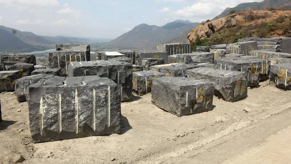 Tamil Nadu Minerals Ltd.