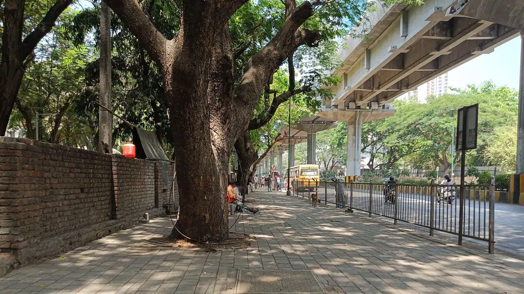 Laxmi Tobacco and General Stores