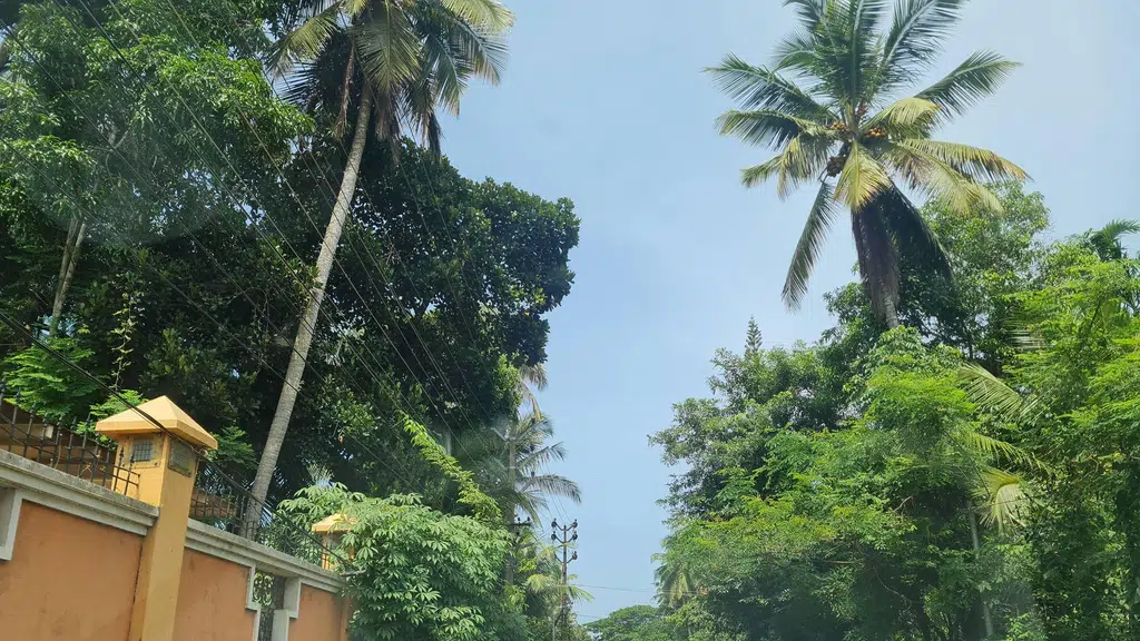 Puthoor Karamvelli Sree Kalari Bhagavathy Temple