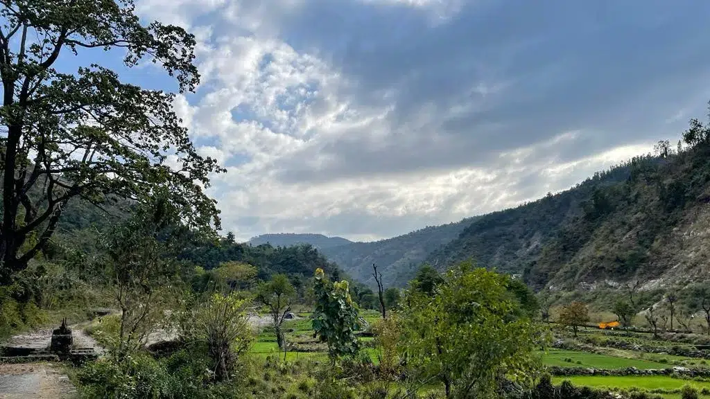 The Needam Resort