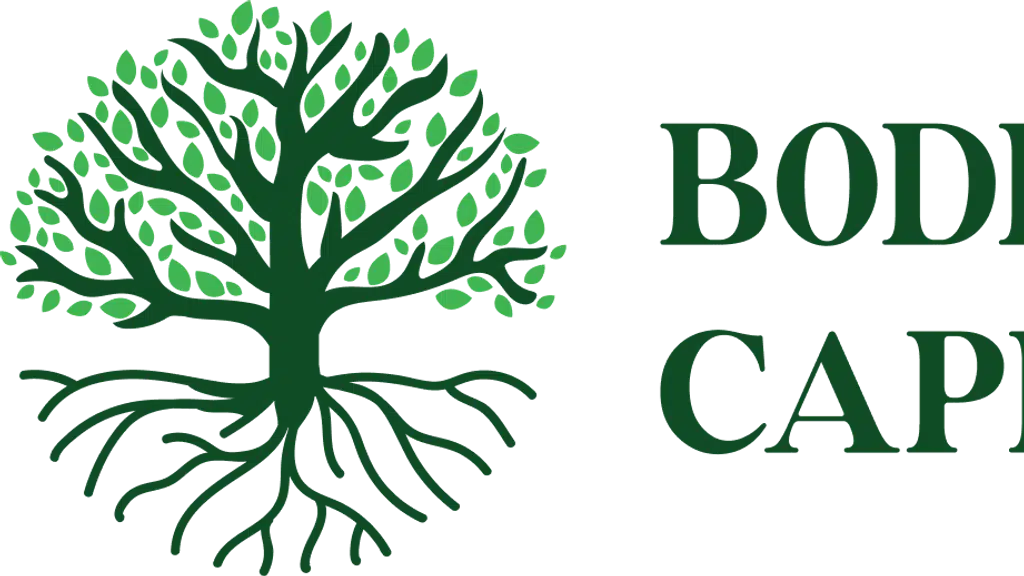 Bodh Capital