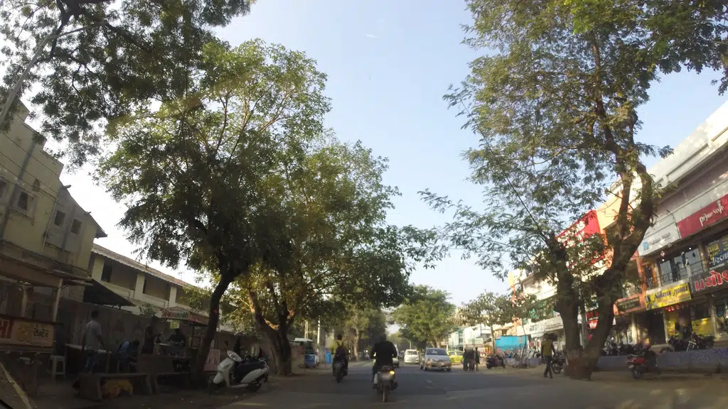 M.S. Mistry Primary School