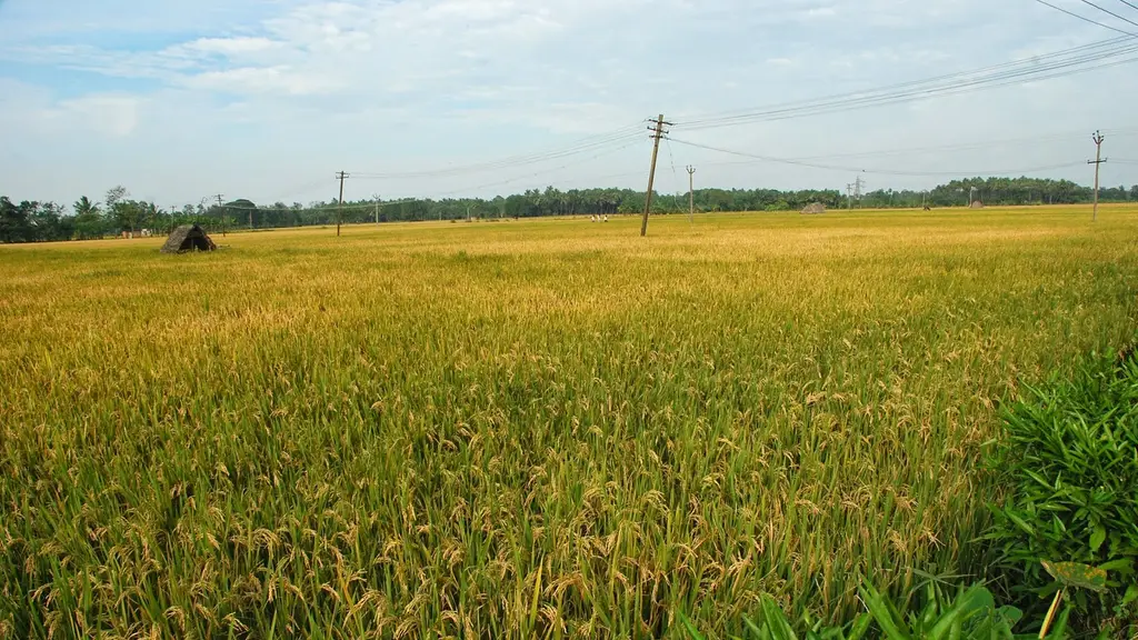 Anandham Agri Ventures