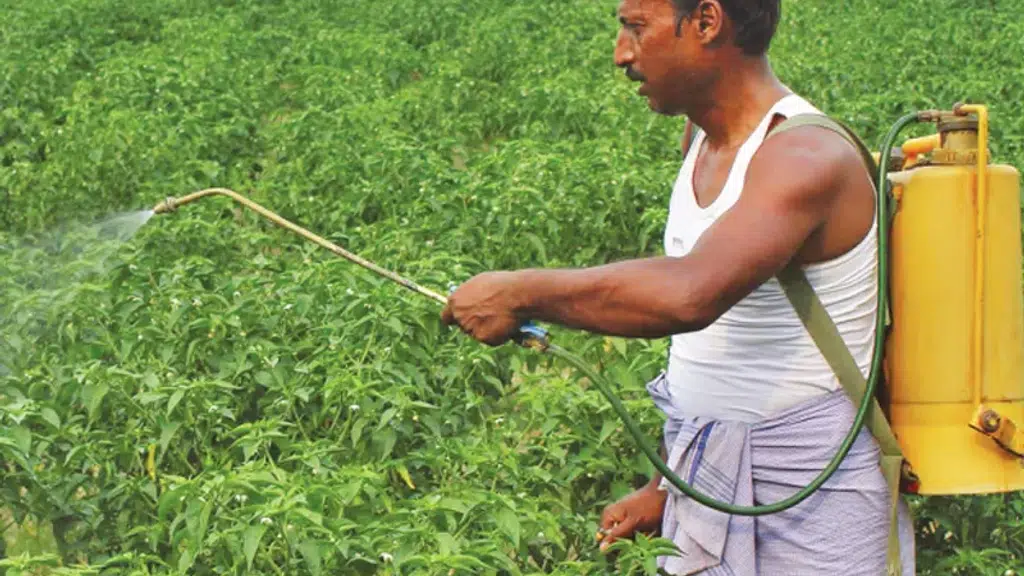 Dudani Pesticides Private limited