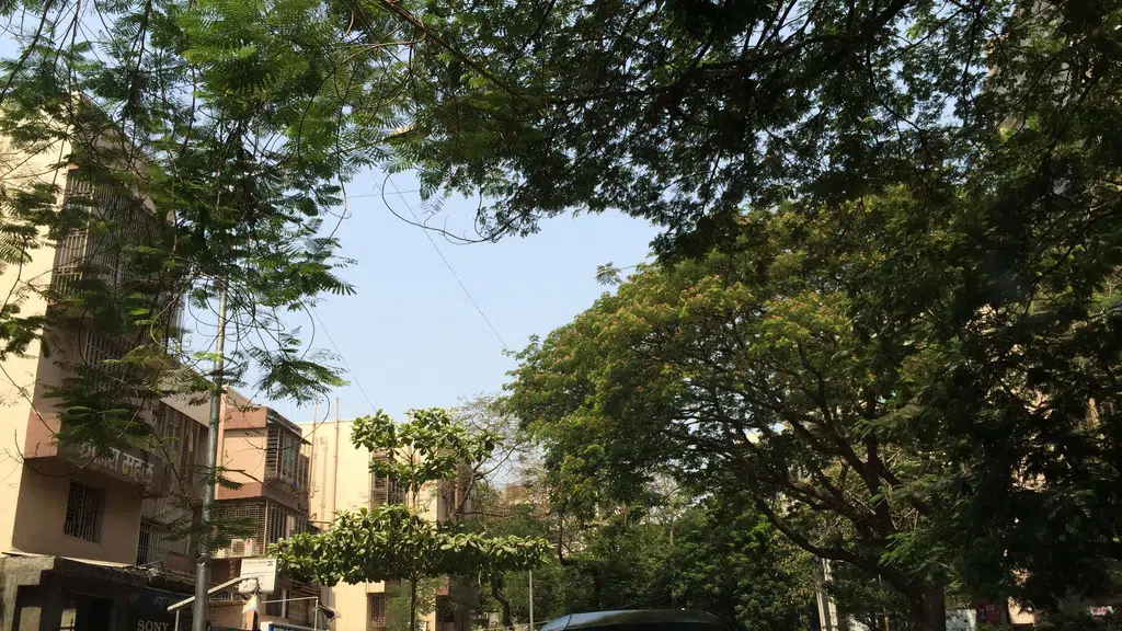 Sapphire Surgico Ghatkopar