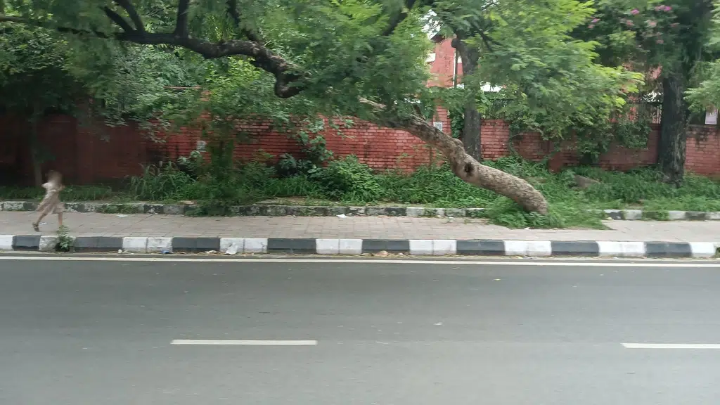 Kendriya Vidyalaya JNU