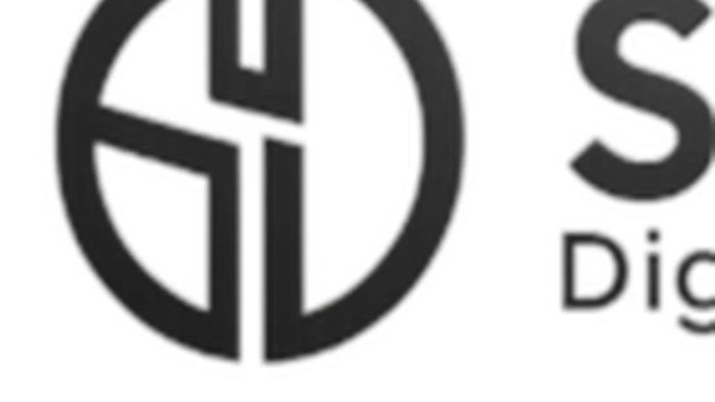 Sahil Digital Solutions | Digital Marketing Agency  | SEO | PPC | SSM