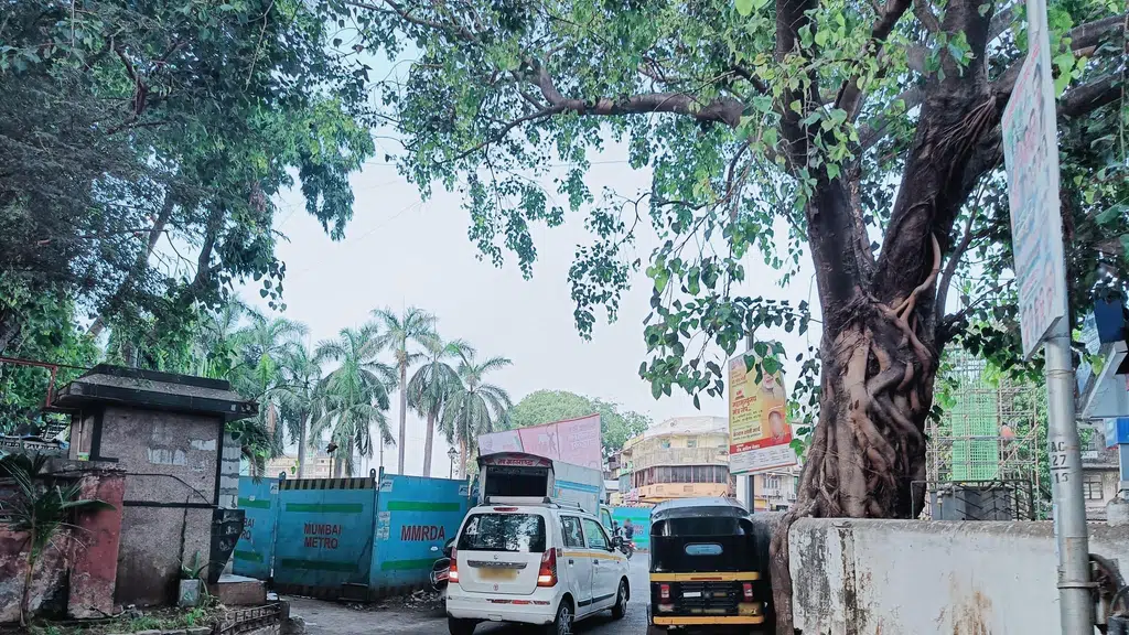 Brijwasi Bengali Mithaiyan