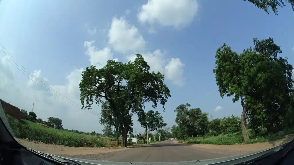 Tiwari Agro Industries