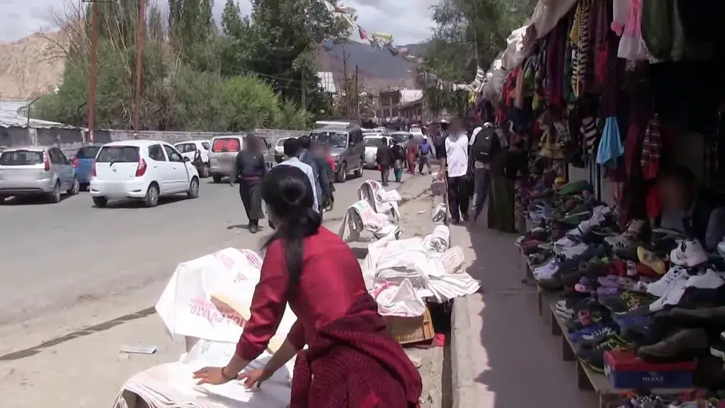 Green Ladakh Travel Company