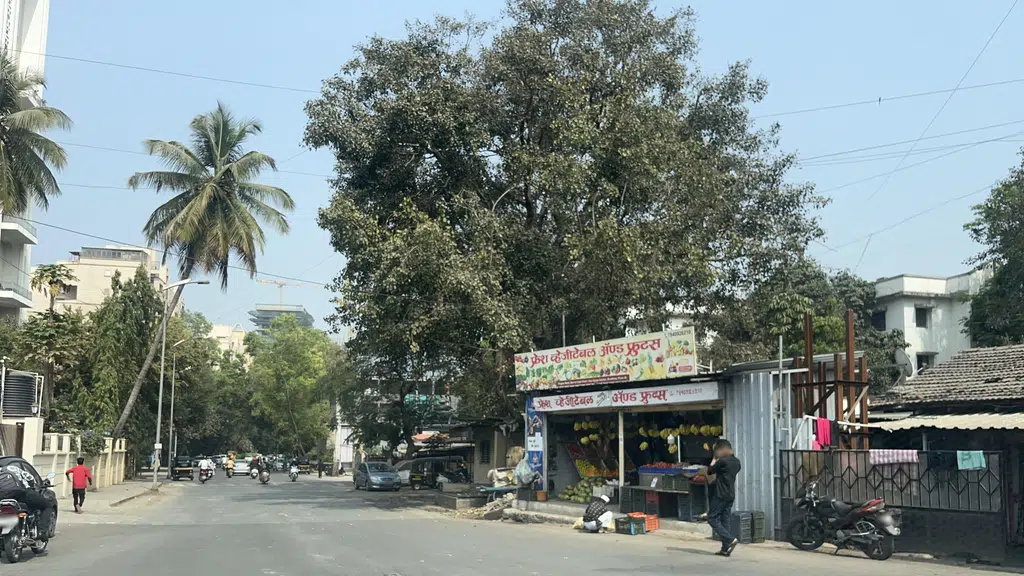 Madhavs Biryani House