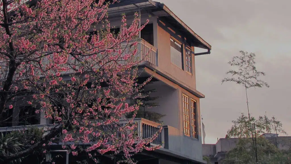 Cherry Guest House