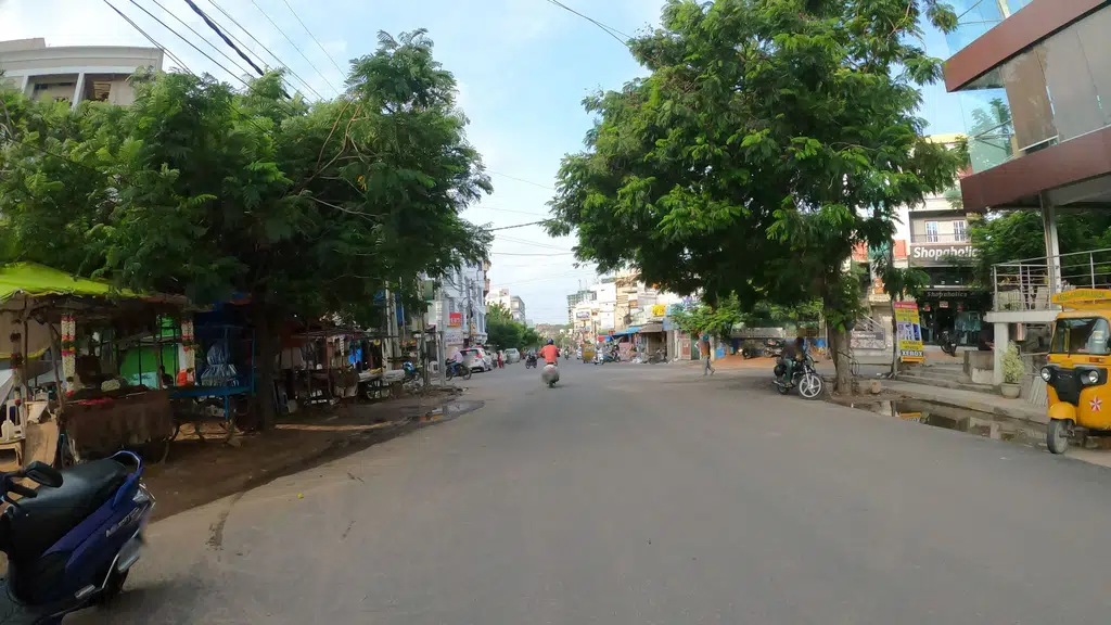 Sree Laxmi Narsimha Fish Aquarium and Pet Shop