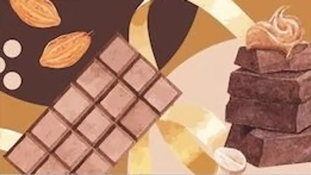 The Chocolate Affair – Imported Chocolates & Premium Gift Hampers
