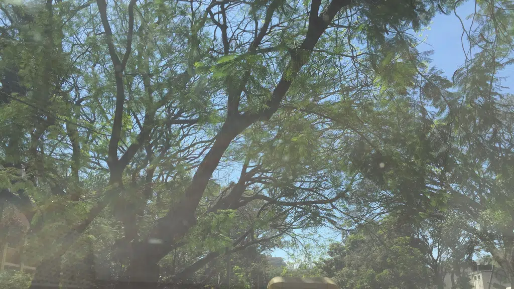 Bhima Jewellers