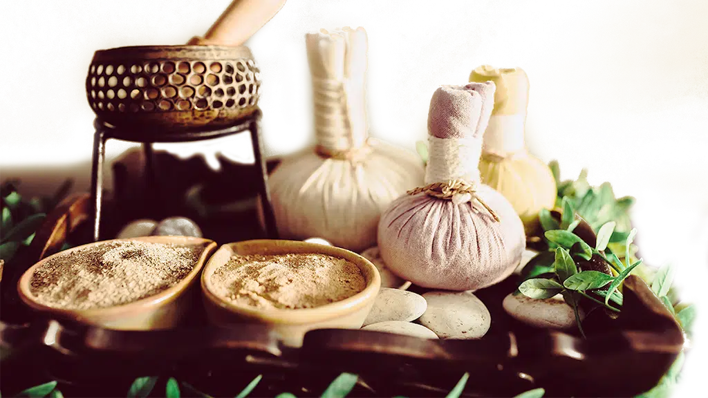 Feliz Ayurveda International Hospital