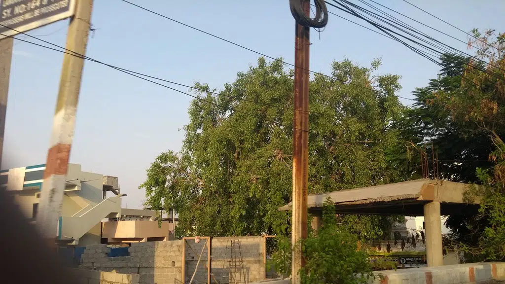 AP Rajaka Abhivrudhi Sanstha