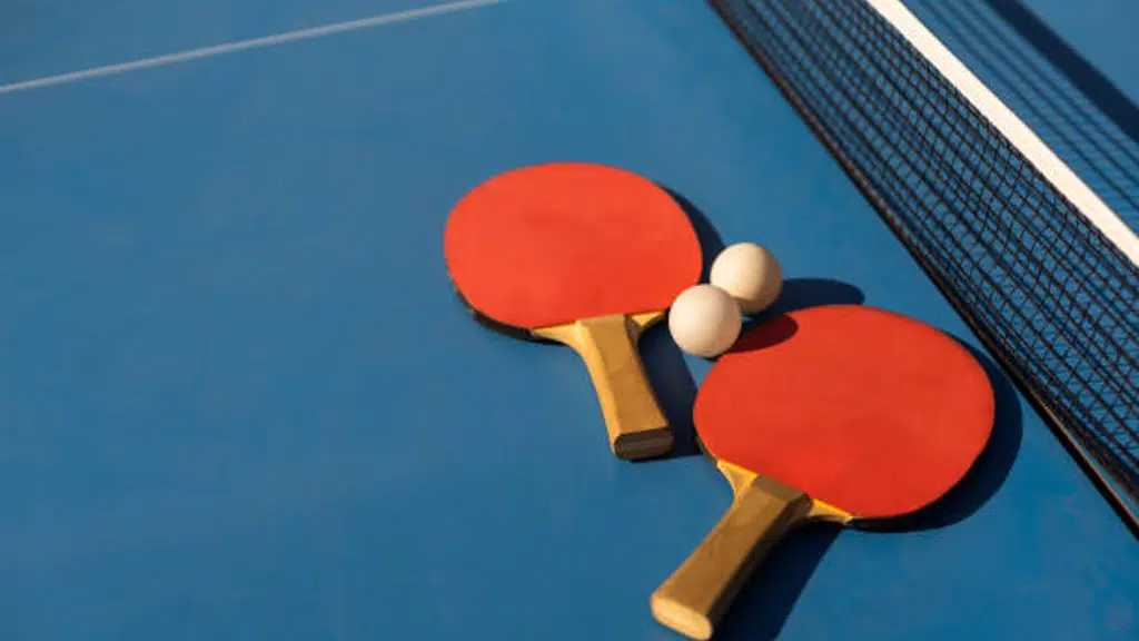 SportsZilla Tennis Academy