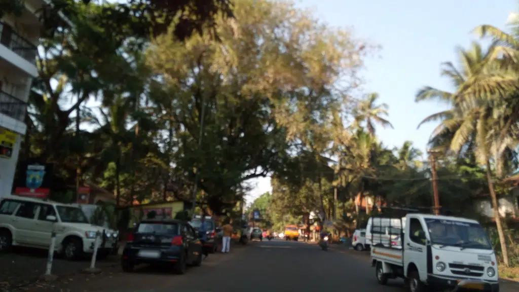 Welcome To Goa Tours and Travels