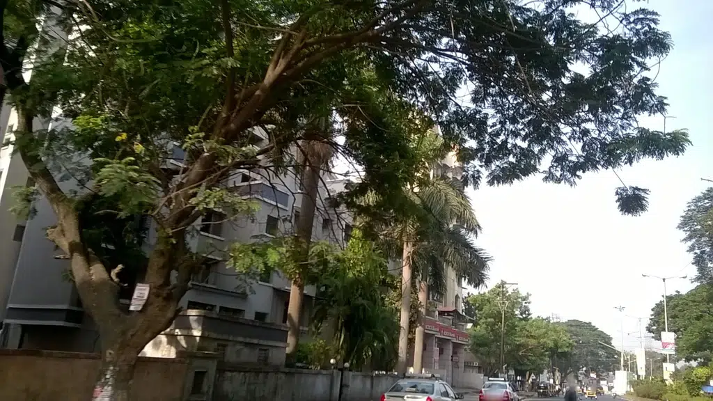 New Panvel - Sector-19
