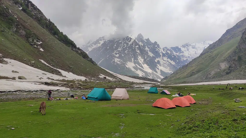 Himalayan Yeti