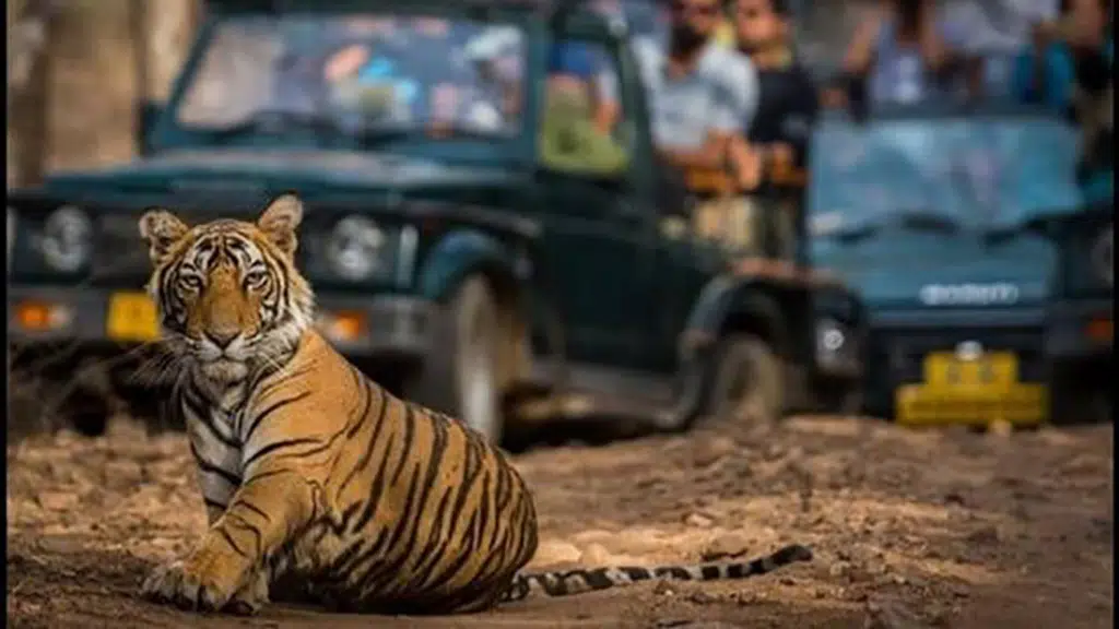 Jim Corbett Holiday