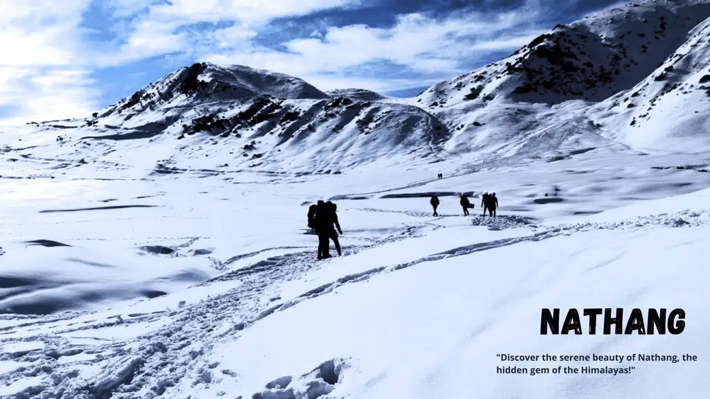 Glacial Tours & Travels