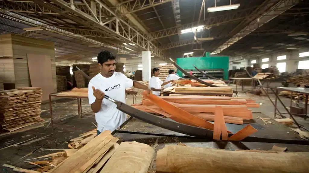 Canply Plywood