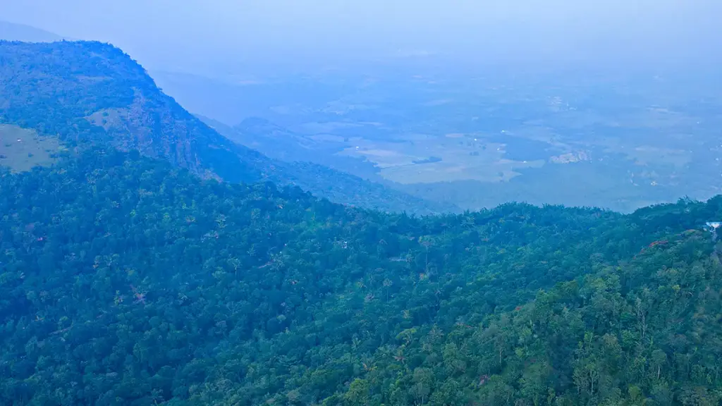 Hills & Hues - Thekkady