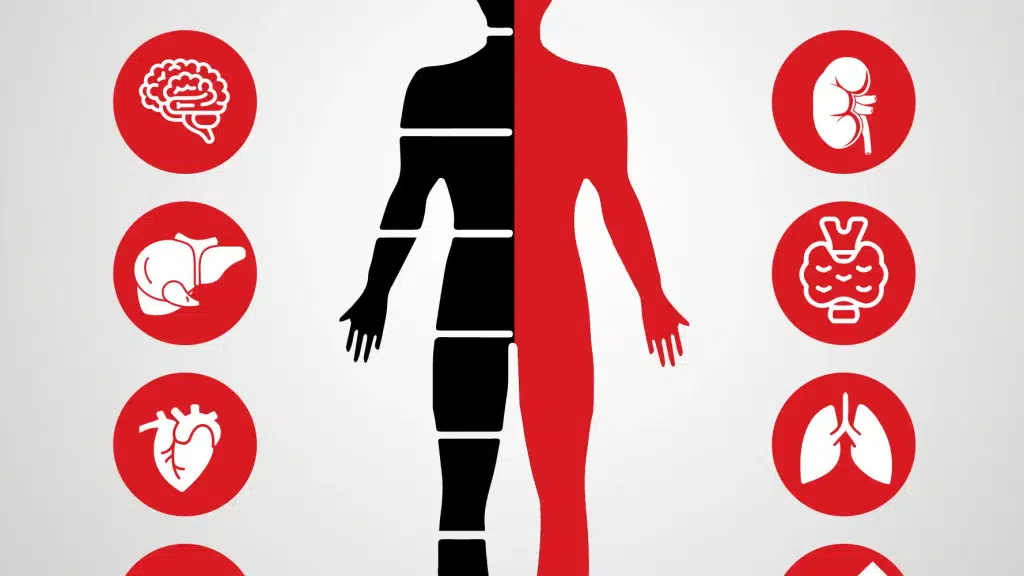 Health Care Diagnostic Clinic and Laboratory Services