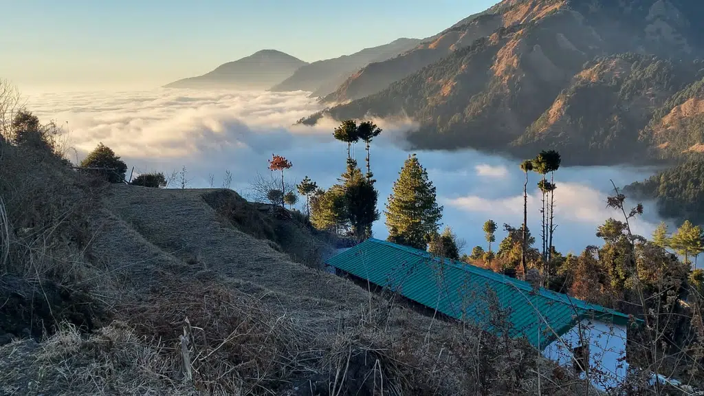 Kampland Resort - Sigri, Nainital