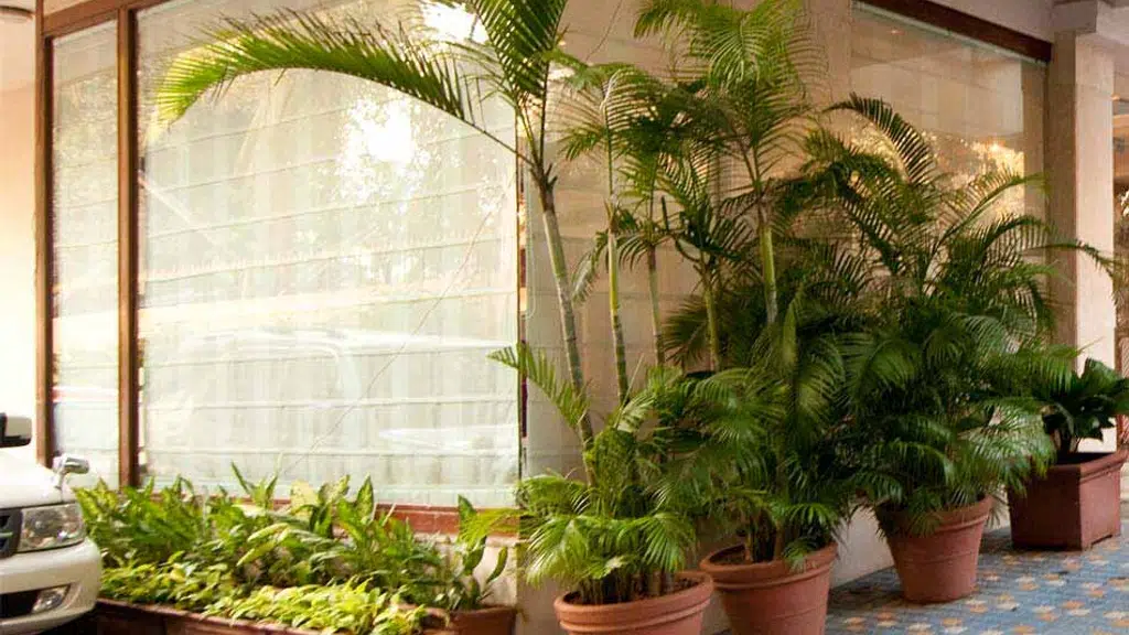 Residency Hotel Andheri