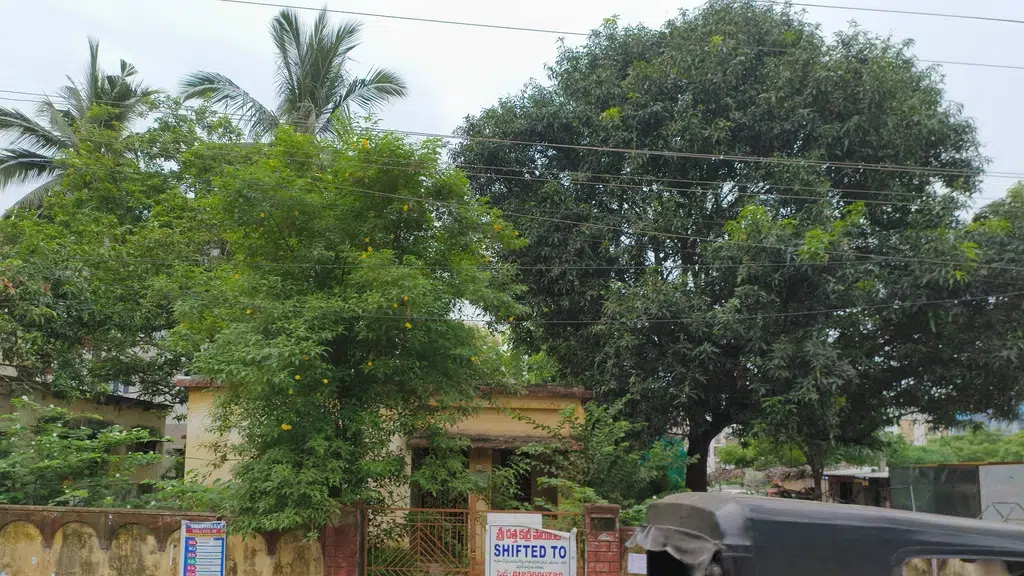 Sri Surya Homoeo Medicals