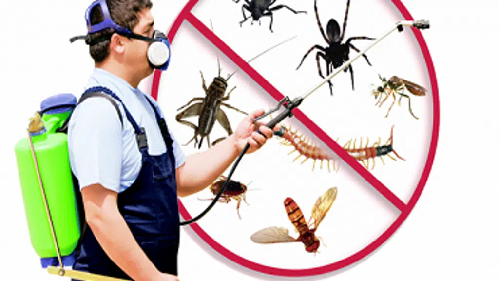 Hi-Tech Pest Management