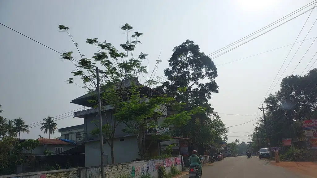 CPIM Angamaly Area Committee Office