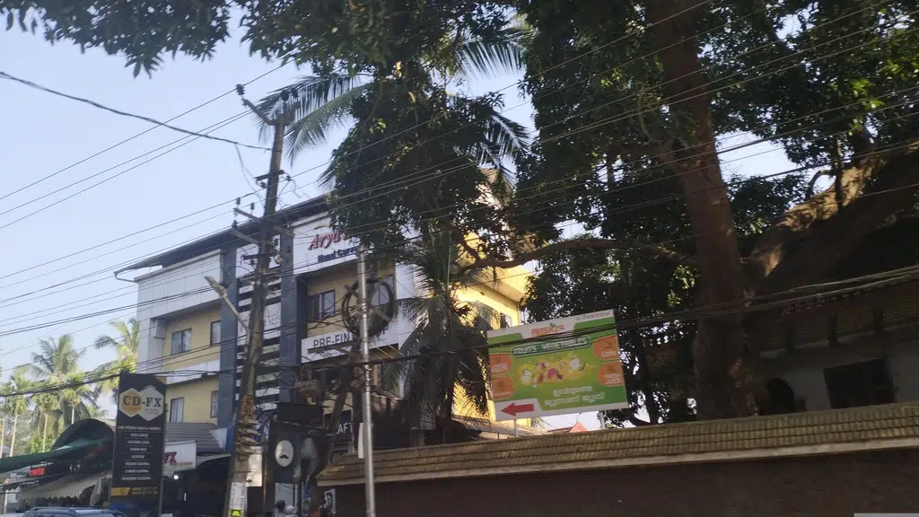Dr. S. Vidya Prakash Homoeopathic Clinic