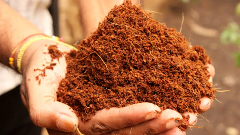 Kalpashree Coir Industries
