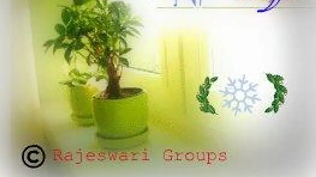 Rajeswari Lodge And Restaurant