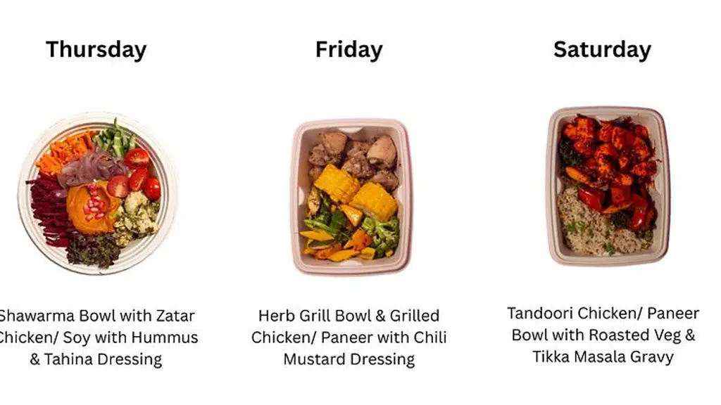 The Everyday Bowl
