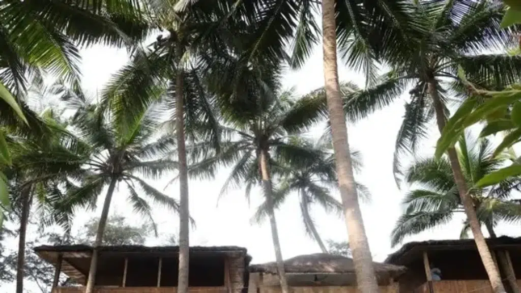 Kurma Private Beach Resort