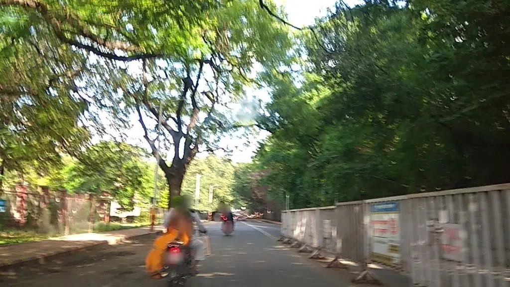 Skin City India