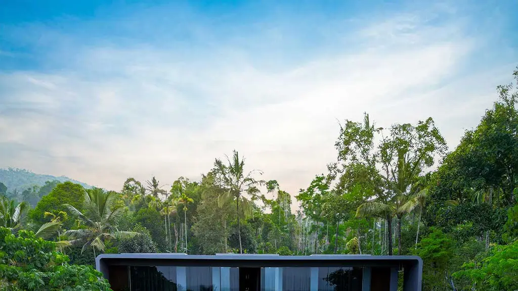 Brookland Estate Wayanad - a Green Hive Promise